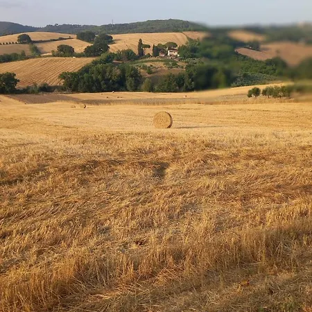 Casale Rustico Poggiarino Dib&l Apartment *