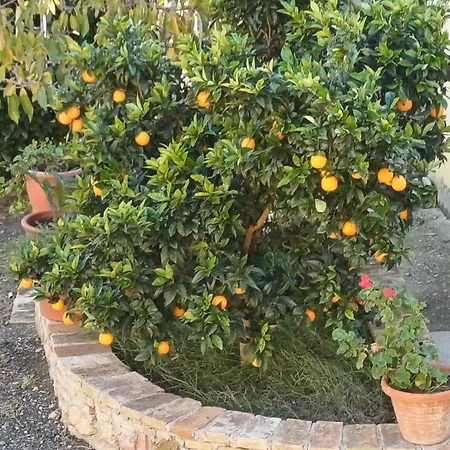 Апартаменты Casale Rustico Poggiarino Dib&l *